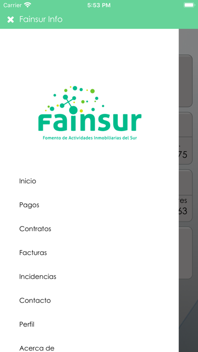 Fainsur Info screenshot 3