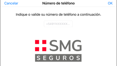 SMG Seguros Video Peritación screenshot 2