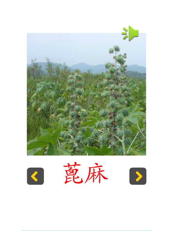 Screenshot #6 pour 认知卡认识植物