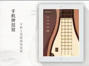 琵琶 ipad images 1
