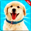 Pet Puppy Adventures Dog Games