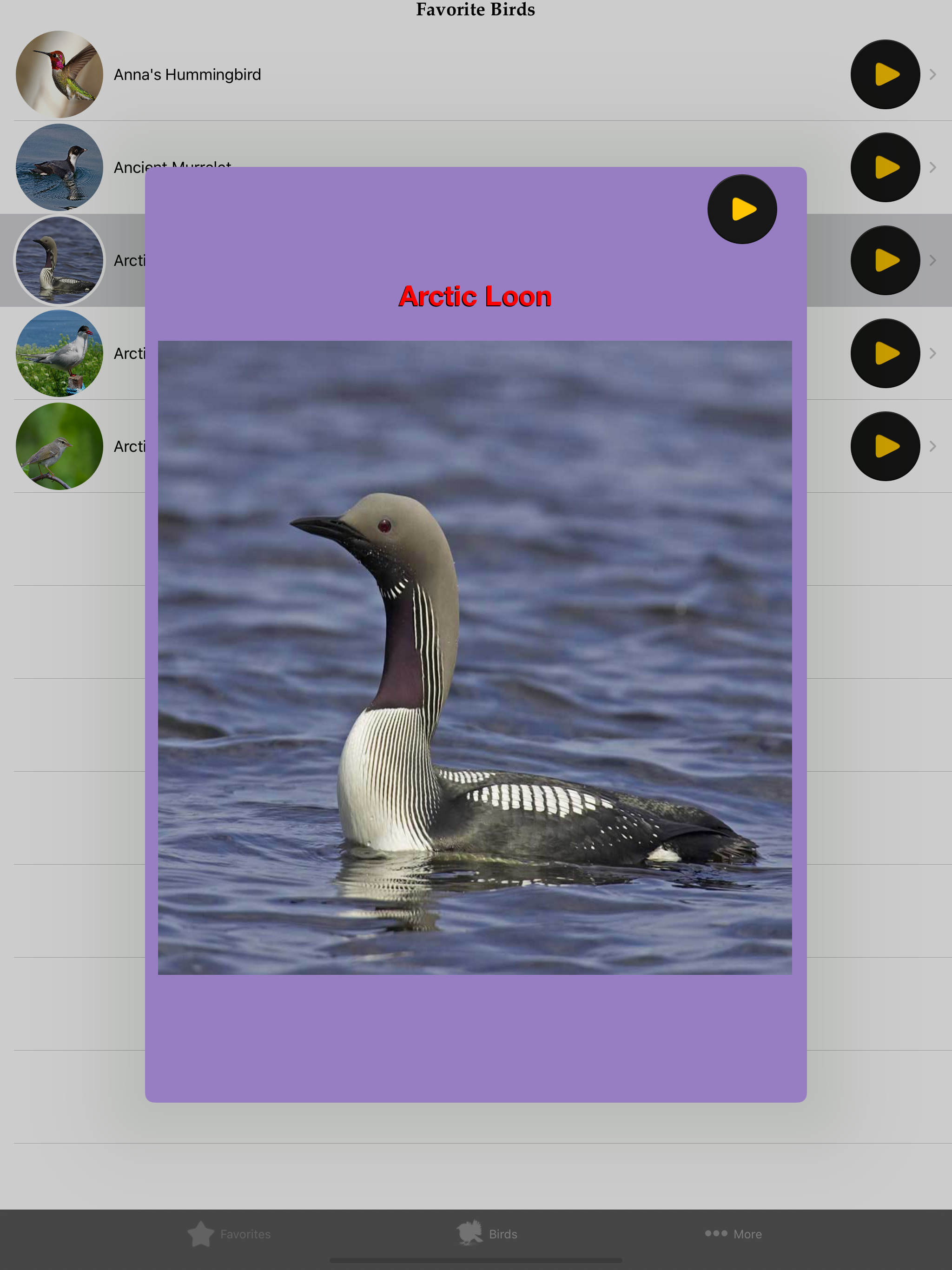Birds of North America