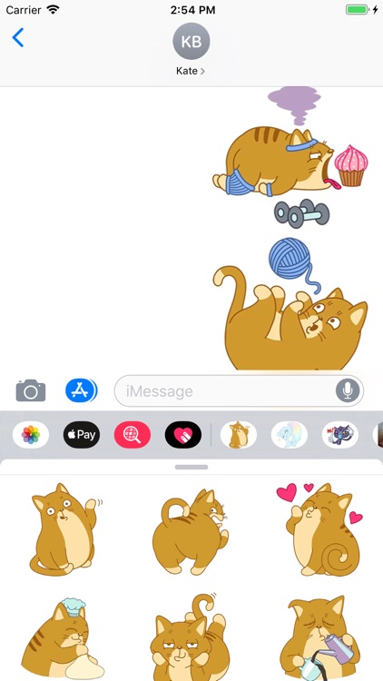 Fatty Cat Sticker Pack