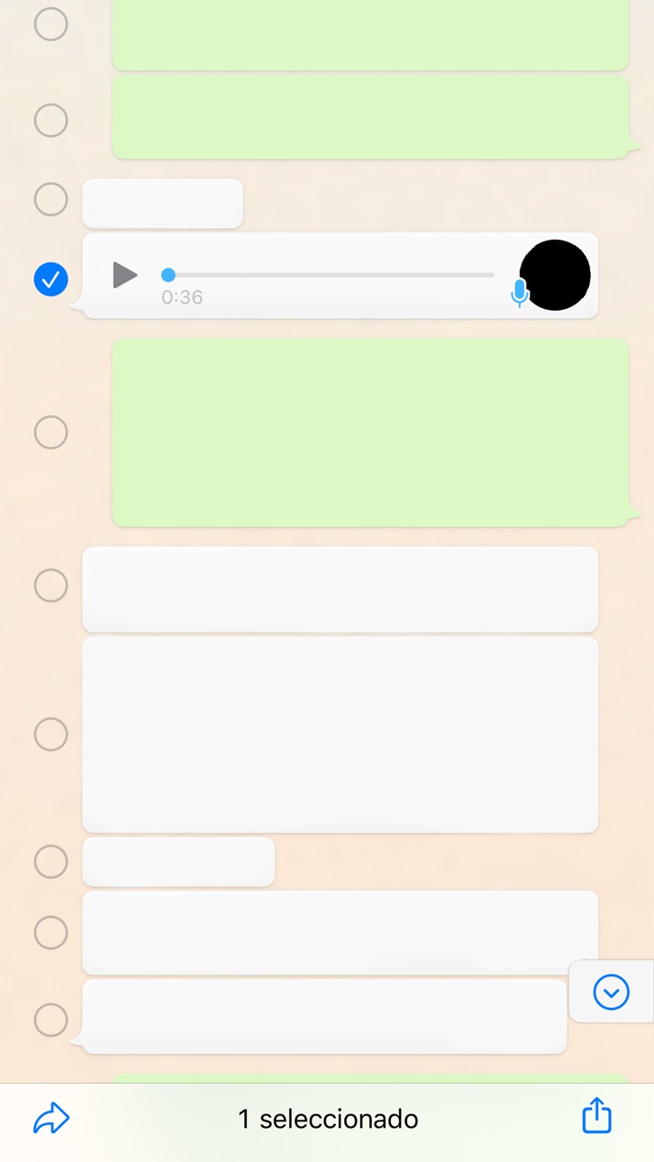 iPhone screenshot