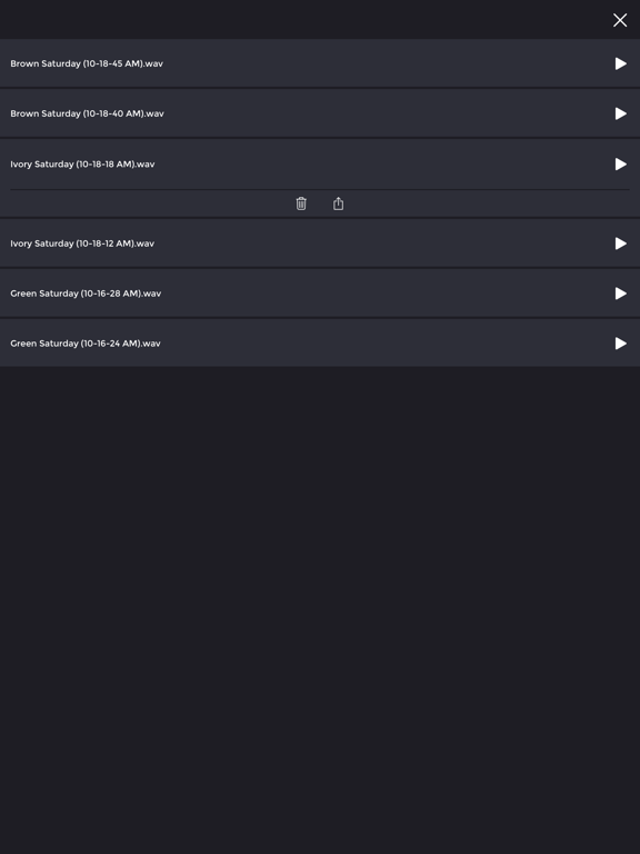 Loopfield : field recorder iPad screenshot 4 - Music app