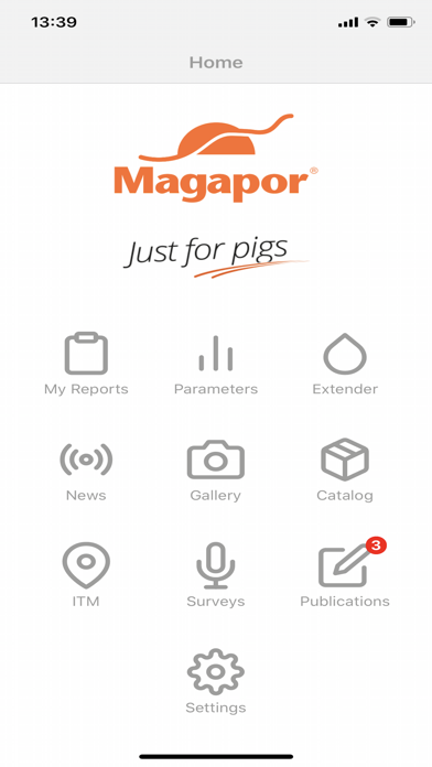 Magapor Screenshot