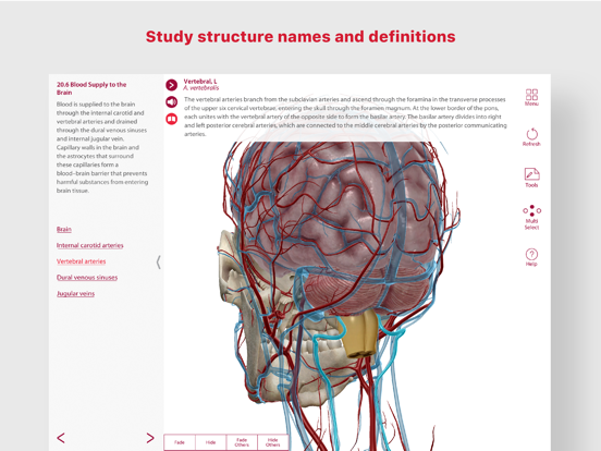 Anatomy & Physiology iPad app afbeelding 4
