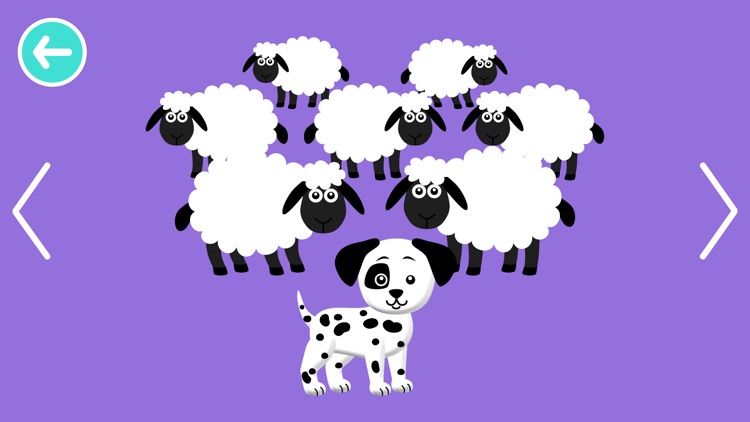 Black White Animals for Babies