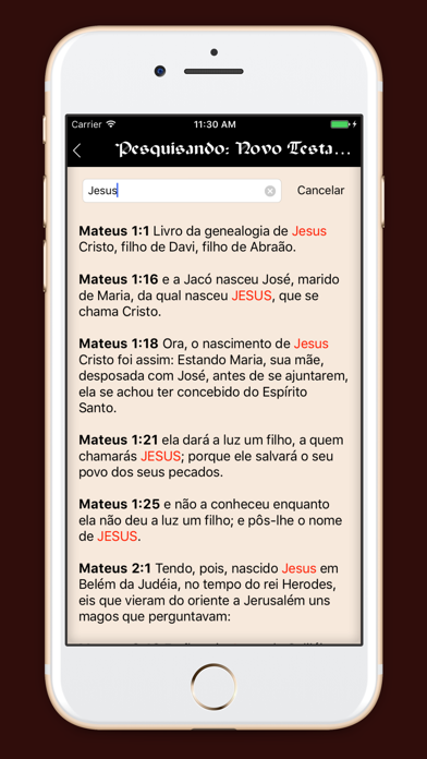 Holy Bible in Portuguese Screenshot