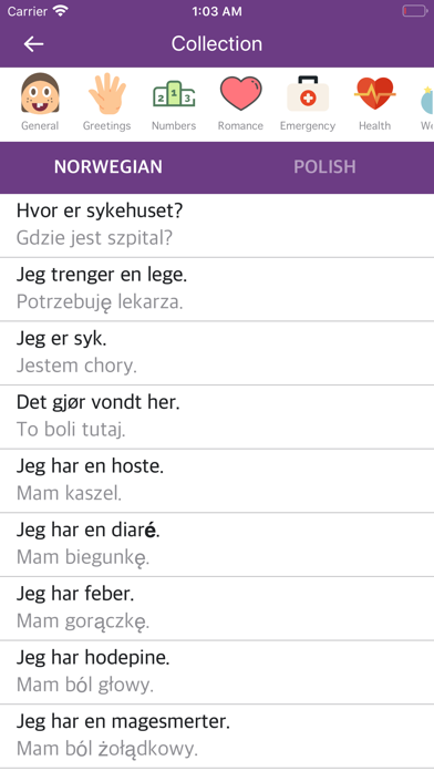 Norwegian Polish Dictionary Screenshot 2 - AppWisp.com Norwegian Polish Dictionary Screenshot 2 - AppWisp.com