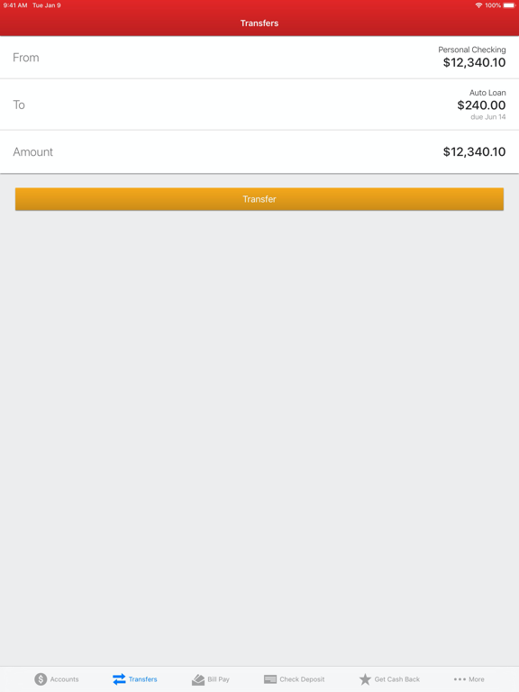 FirstLight Mobile Banking iPad screenshot 4 - Finance app
