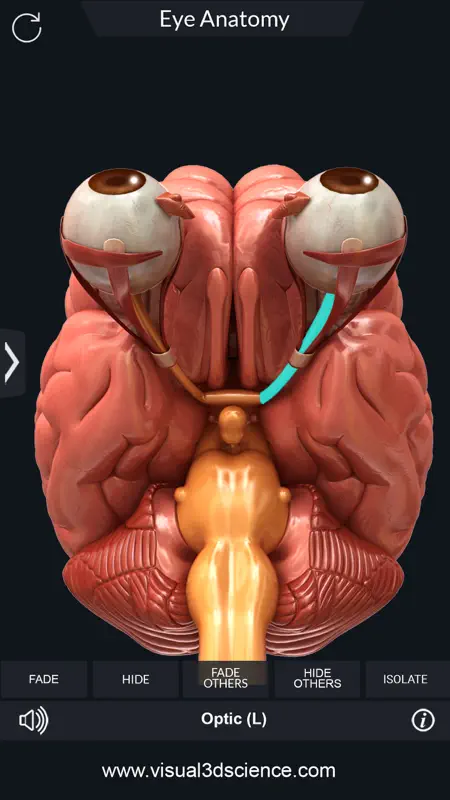 My Eye Anatomy screenshot 7 of 8