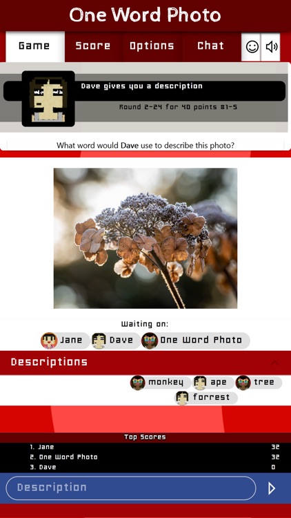 One Word Photo screenshot-4