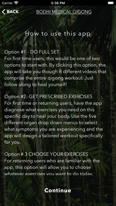 Bodhi Medical Qigong Screenshot
