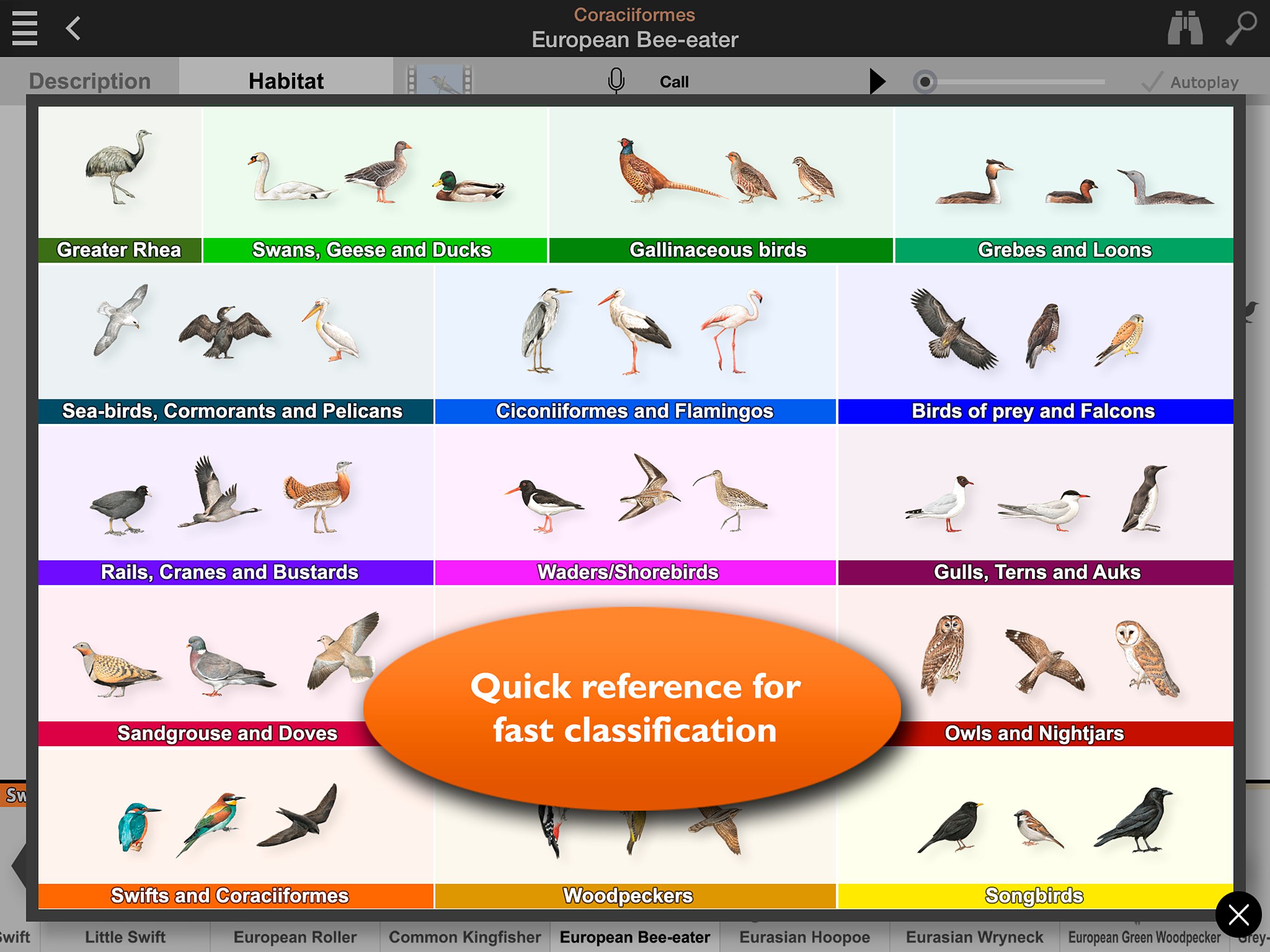Birds of Europe Guide