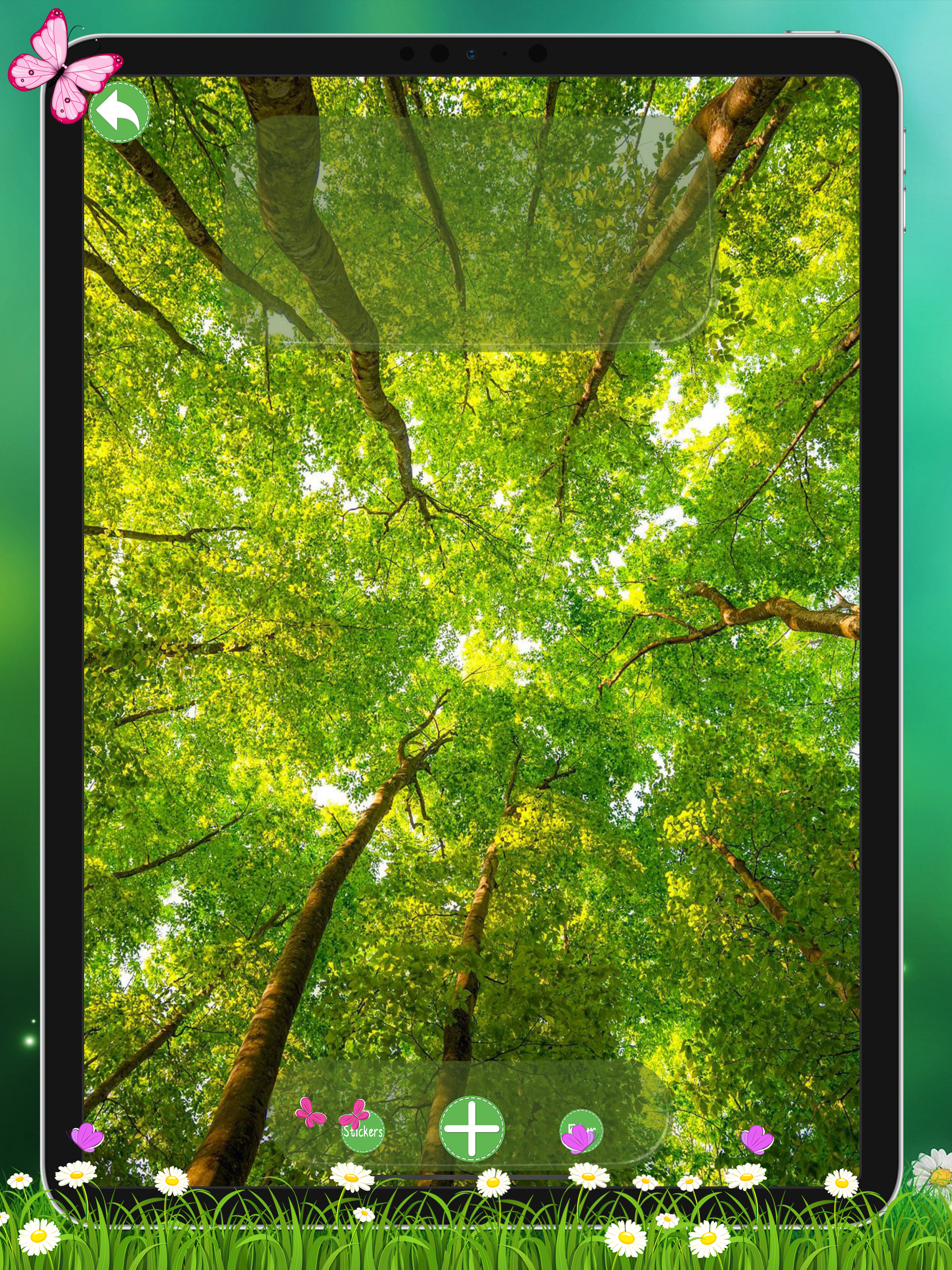 Nature HD Backgrounds