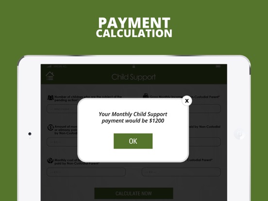 【图】Colorado Divorce Calculator(截图3) 【图】Colorado Divorce Calculator(截图3)