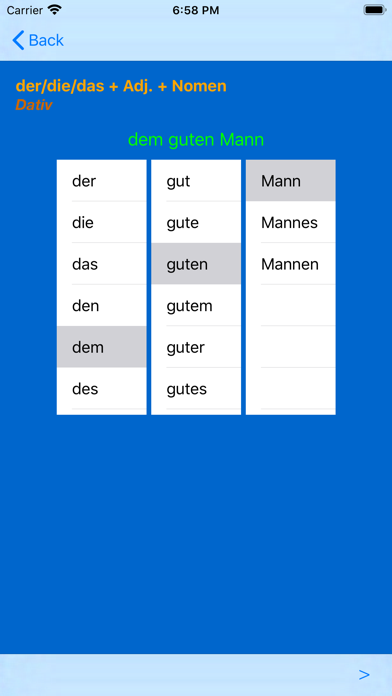 German Adjective Endings Screenshot