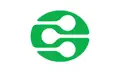 DLNA Browser