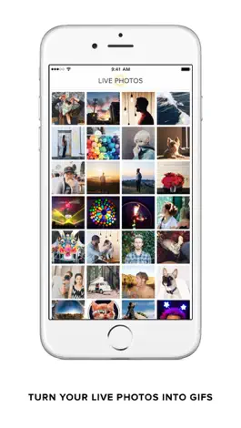 Game screenshot Live GIF mod apk