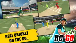 Game screenshot Real Cricket™ GO hack