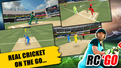 Real Cricket? GO Screenshot