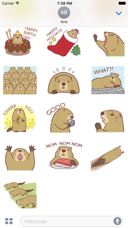 Happy Groundhog Day screenshot-3