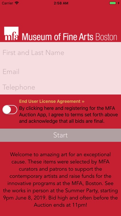 MFA Summer Party Auction