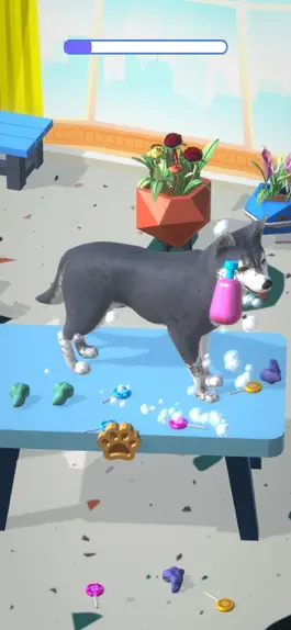 Game screenshot Zoosalon 3D mod apk