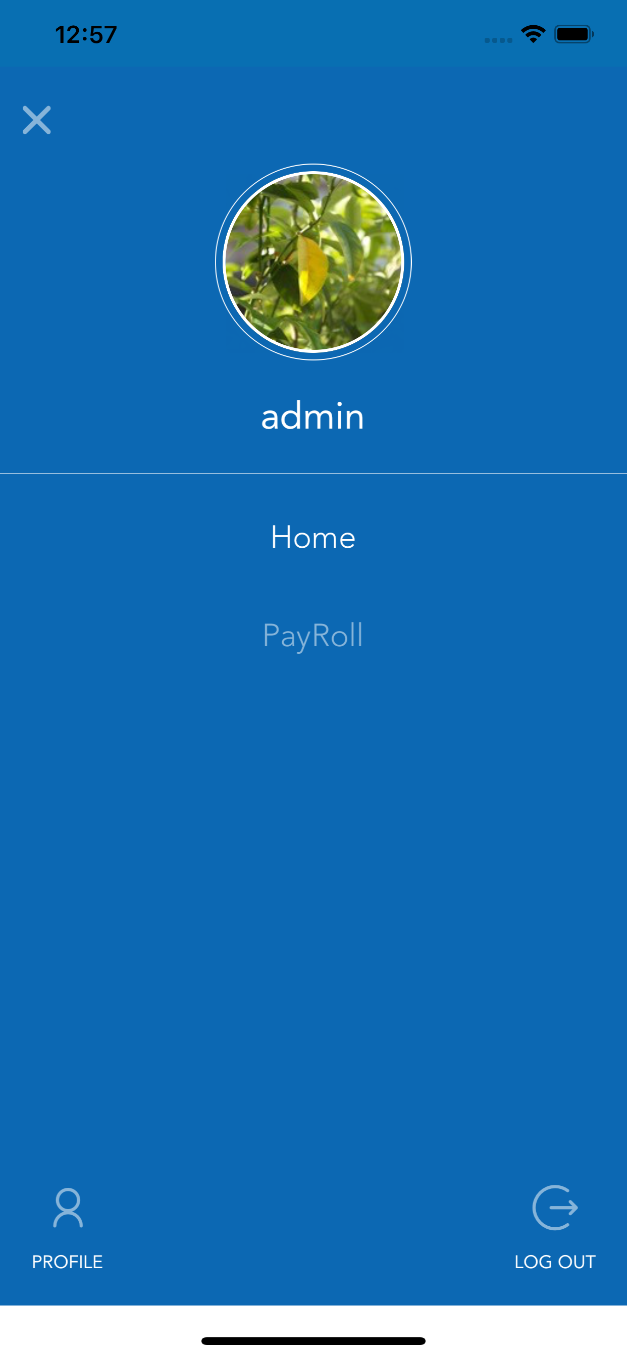 Falcon Riser screenshot 2