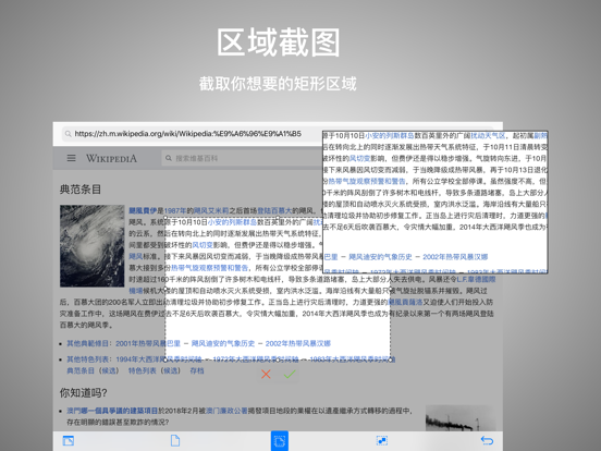 Screenshot #5 pour Webshot
