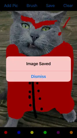 Game screenshot Draw On My Pics apk