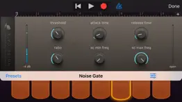 noise gate & downward expander iphone screenshot 4