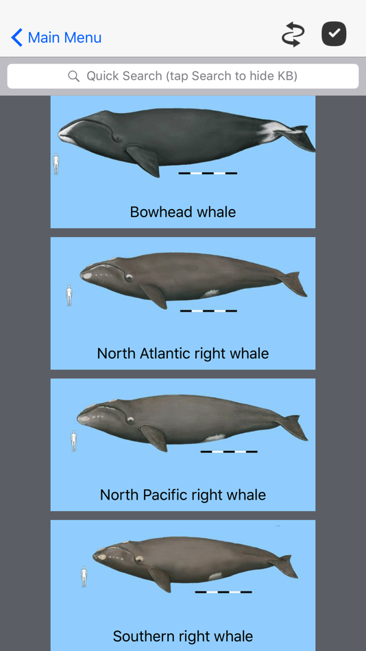 #1. Dolphins and Whales (iOS) بواسطة: mydigitalearth.com