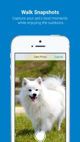 Game screenshot Tractive Dog Walk hack