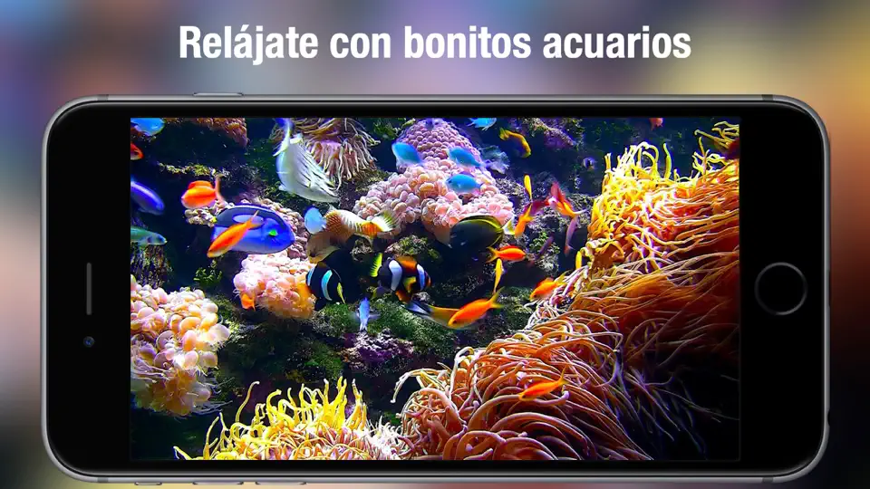 Captura de pantalla de Acuario Vivo HD - Real Pecera en iPhone 2