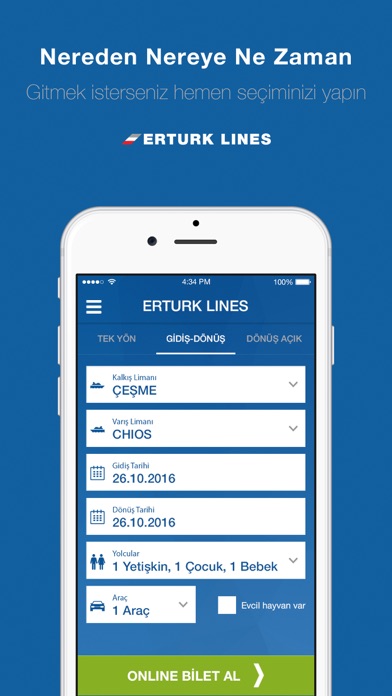 Erturk Lines screenshot 2