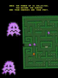 Rotate The Maze ipad bilder 2