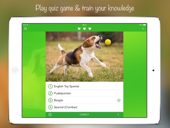 iKnow Dogs 2 PRO iPad screenshot 4 - Reference app