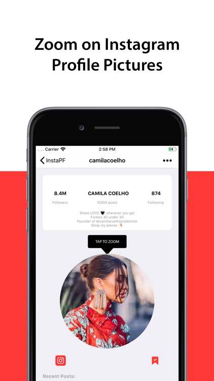 Zoomie for Instagram - Profile screenshot-0