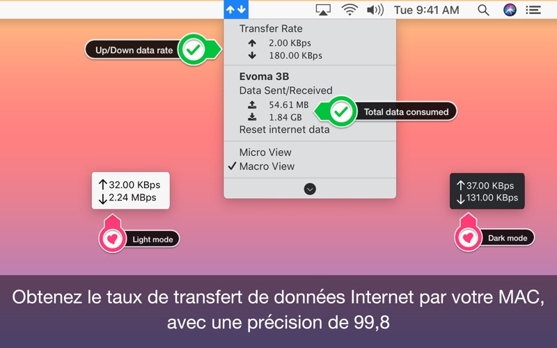 Screenshot #2 pour TransData Track Internet Usage