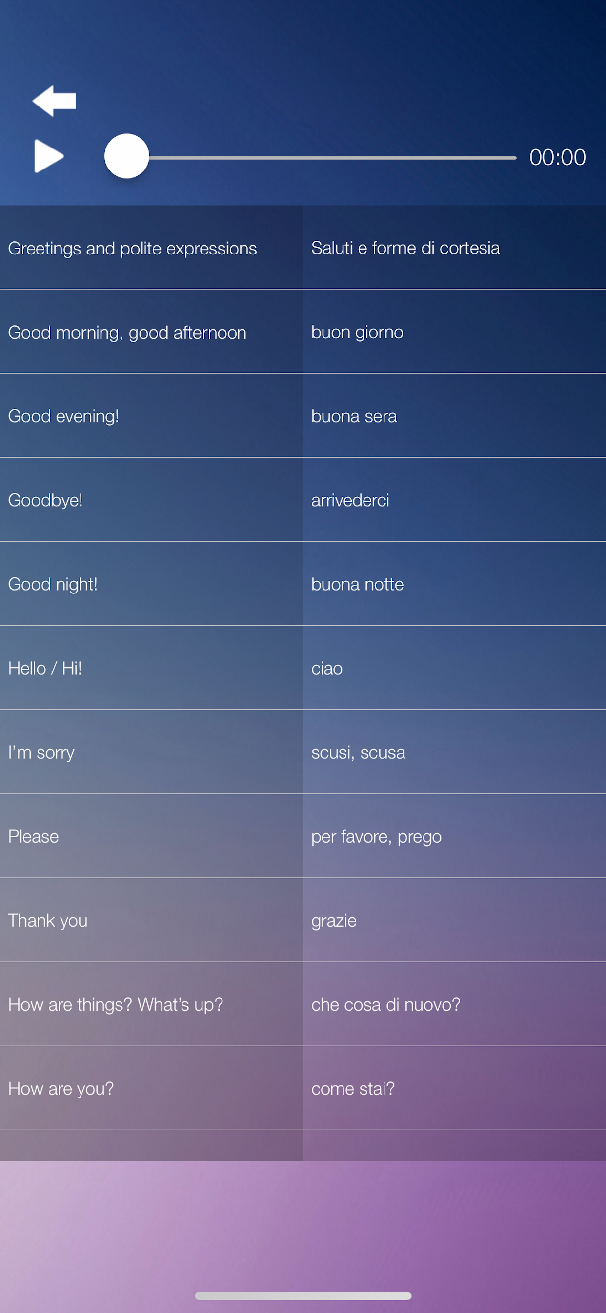 Learn Italian Language Course screenshot 3
