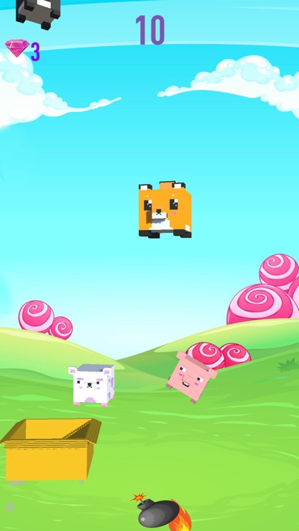 It's Raining Cats & Dogs!