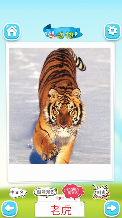 认动物 -看图识字学说话