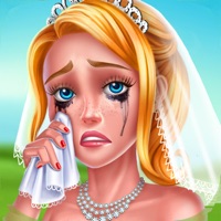 Hochzeitsplanerin apk