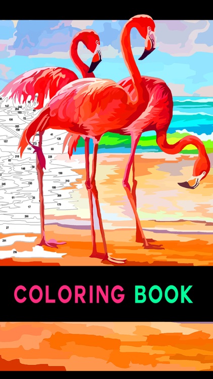Color by Number Adult coloring