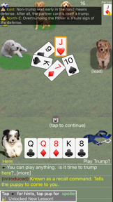 K9 Sheepshead: Schafkopf screenshot