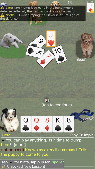 K9 Sheepshead: Schafkopf Screenshot