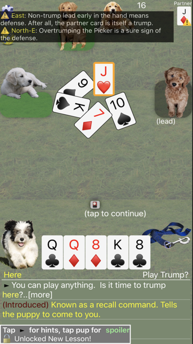 K9 Sheepshead: Schafkopf Cards Screenshot