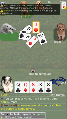 K9 Sheepshead: Schafkopf screenshot 4